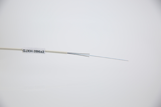 나비 모양의 광 케이블 도입